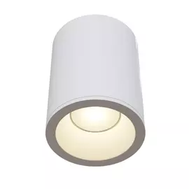 Потолочный светильник уличный Antares C029CL-01W Maytoni