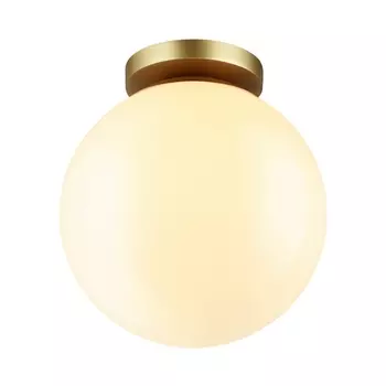 Потолочный светильник уличный Bosco 4248/1C Odeon Light