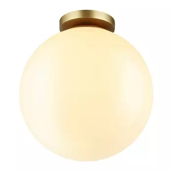 Потолочный светильник уличный Bosco 4249/1C Odeon Light