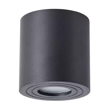 Потолочный светильник уличный Galopin A1460PL-1BK Arte Lamp