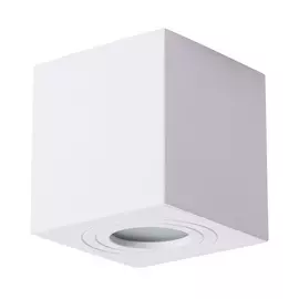 Потолочный светильник уличный Galopin A1461PL-1WH Arte Lamp