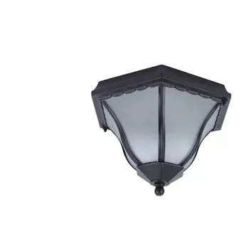 Потолочный светильник уличный Lanterns A1826PF-2BK Arte Lamp