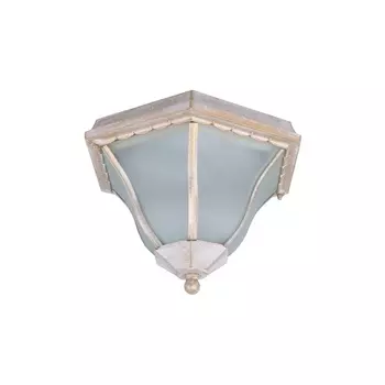 Потолочный светильник уличный Portico A1826PF-2WG Arte Lamp