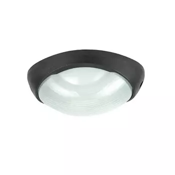 Потолочный светильник уличный Urban A2047PF-1BK Arte Lamp