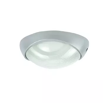 Потолочный светильник уличный Urban A2047PF-1GY Arte Lamp