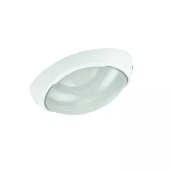 Потолочный светильник уличный Urban A2047PF-1WH Arte Lamp