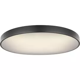 Потолочный светильник Wiss 41744-60S Globo