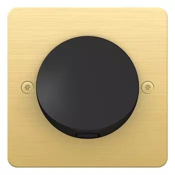 Schneider Electric Sequence 5 SEQ5 Вывод для кабеля, Матовое золото S800662C