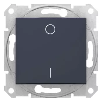 SDN0200270 Выкл. 2-пол., графит Schneider Electric