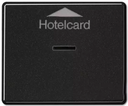 SL590CARDSW SL Карточный выключатель Jung