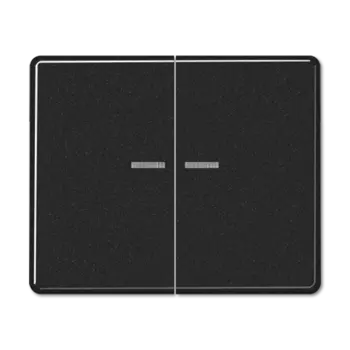 SL595KO5SW SL 500 Черный Клавиша 2-я с подсветкой Jung