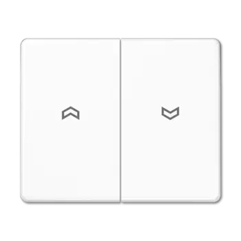 SL595PWW SL 500 Белый Клавиша 2-я жалюзийная Jung