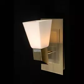 Спот 1301 1301 06 Natali Kovaltseva