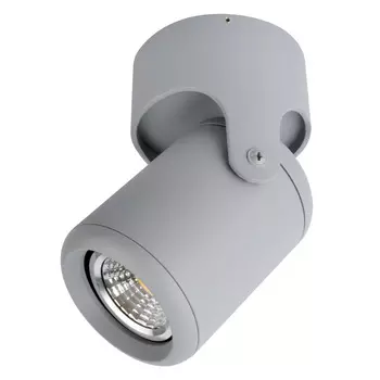 Спот Arte Lamp A3316PL-1GY