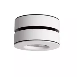 Спот Borgetto OML-101909-12 Omnilux