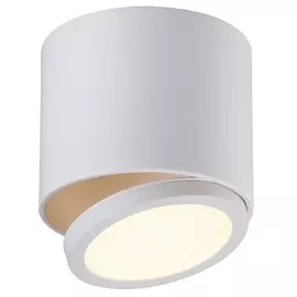 Спот Canicatt OML-20501-01 Omnilux