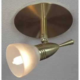 Спот Downlights II LSL-0390-01 Lussole