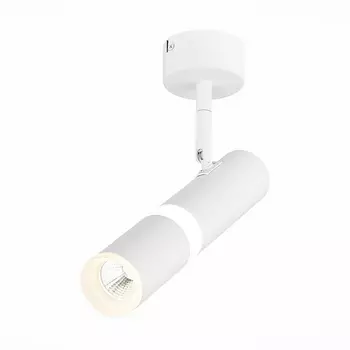 Спот Escopio ST106.542.08 ST Luce