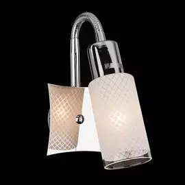 Спот Eurosvet 20030/1 хром