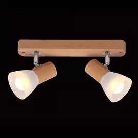 Спот Eurosvet 20045/2 светлое дерево