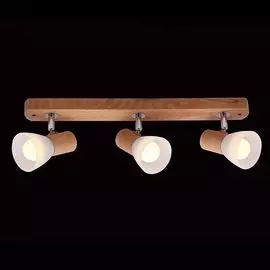 Спот Eurosvet 20045/3 светлое дерево