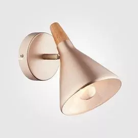 Спот Eurosvet Amadeo 70050/1 перламутровое золото