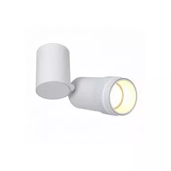 Спот Favourite Kinescope 2453-1U