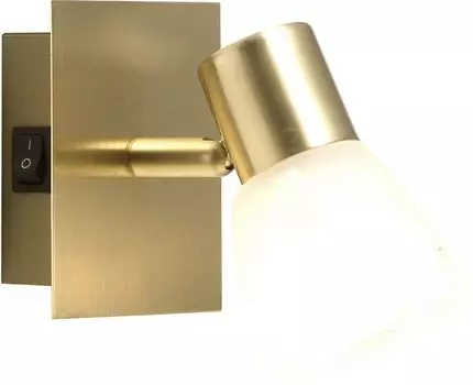 Спот Globo Raider 54540-1