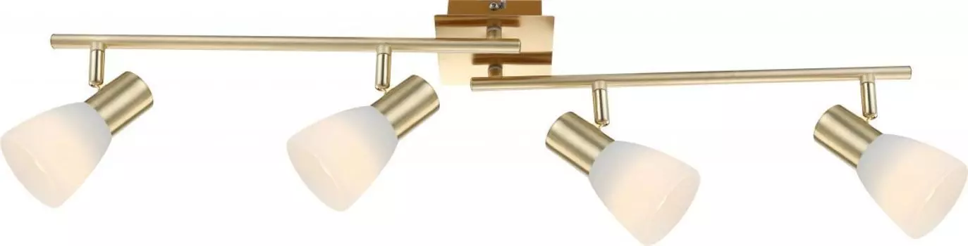 Спот Globo Raider I 54538-4