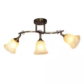 Спот IDLamp Paolina 851/3PF-Oldbronze