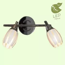 Спот Lussole Brindidi GRLSX-6701-02