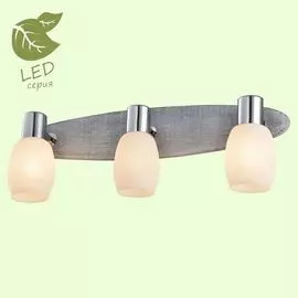 Спот Lussole Hackberry GRLSP-0053