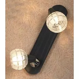 Спот Lussole Silandro LSL-8601-02