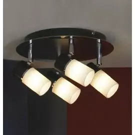 Спот Lussole Siliqua LSQ-6101-04