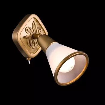 Спот Maytoni Spot SP008-CW-01-G