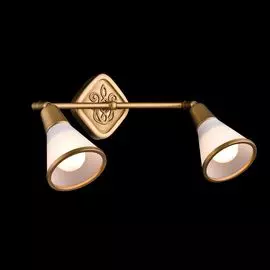 Спот Maytoni Spot SP008-CW-02-G