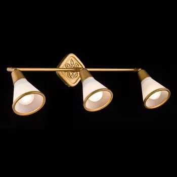 Спот Maytoni Spot SP008-CW-03-G