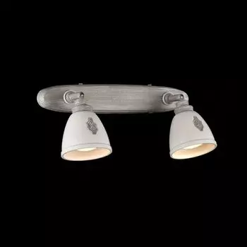 Спот Maytoni Spot SP289-CW-02-BG