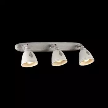 Спот Maytoni Spot SP289-CW-03-BG