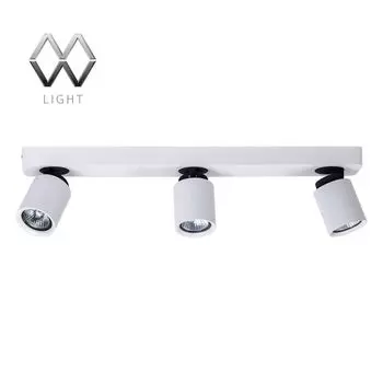 Спот MW-Light Астор 545020603