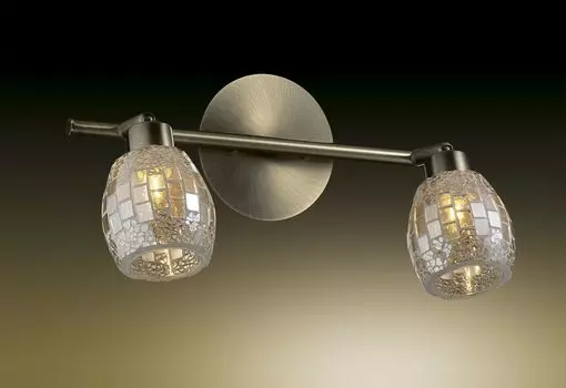 Спот Odeon Light Glosse 2166/2W