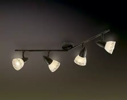 Спот Odeon Light Medeo 2075/4W