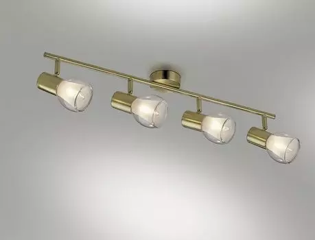 Спот Odeon Light Moss 2176/4W