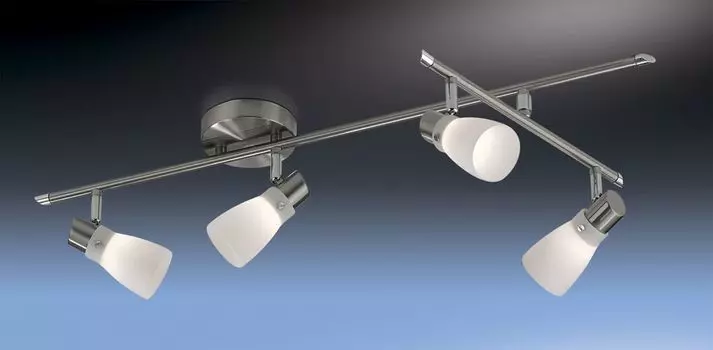 Спот Odeon Light Terza 2066/4C