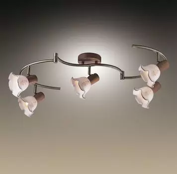 Спот Odeon Light Vega 1977/5