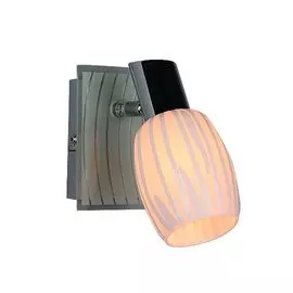 Спот Omnilux OML-21201-01