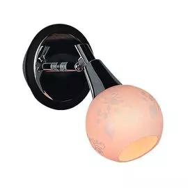 Спот Omnilux OML-21501-01