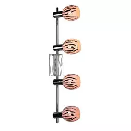 Спот Omnilux OML-21601-04