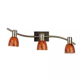 Спот Omnilux OML-22001-03