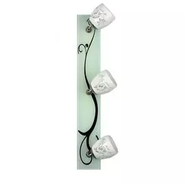 Спот Omnilux OML-22301-03